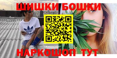 индика Кулебаки