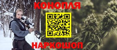 индика Кулебаки