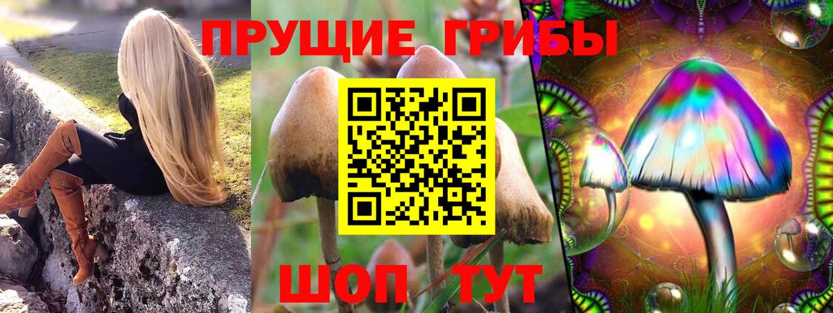 Галлюциногенные грибы Psilocybine cubensis Каспийск