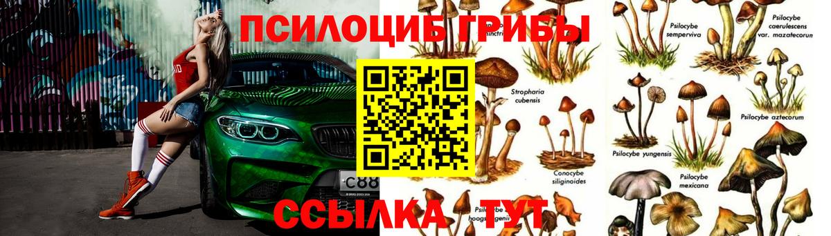 Каспийск  Псилоцибиновые грибы мицелий  Вход с VPN 